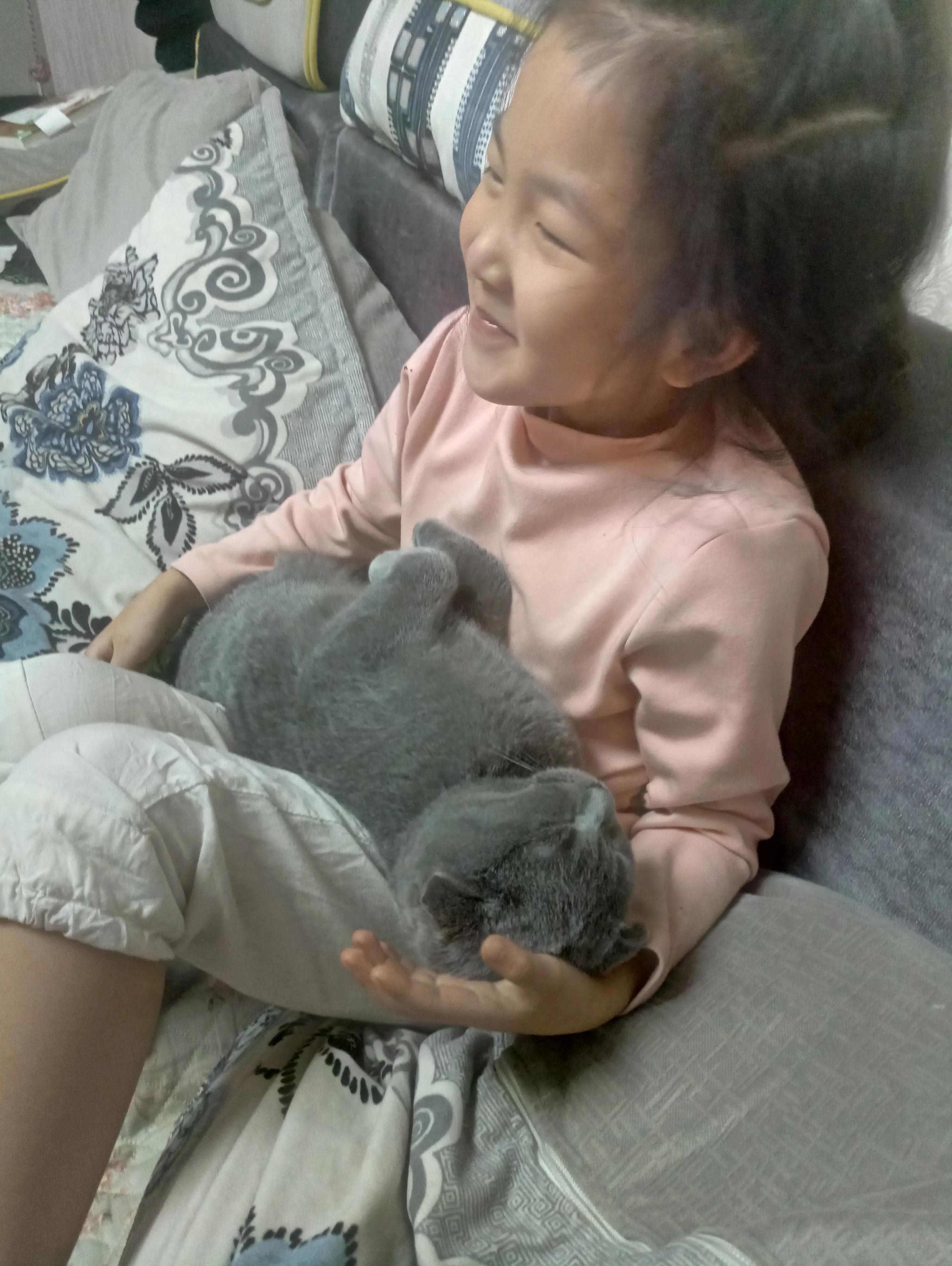 新手怎么养2个月多小奶猫,如何喂养一个月的小奶猫