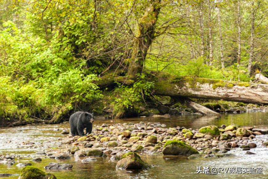 北美加拿大景点,北美有什么好玩的地方和景点
