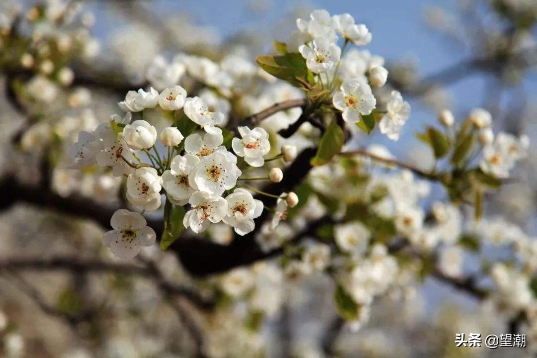 留住乡愁记忆的山居村落,乡愁记忆最美乡村风景