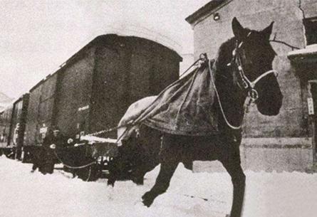 清朝gdp世界第一为何有人信,清朝末年gdp占全球比例