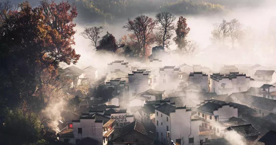 海南人会爬椰子树吗,会爬椰子树的海南人