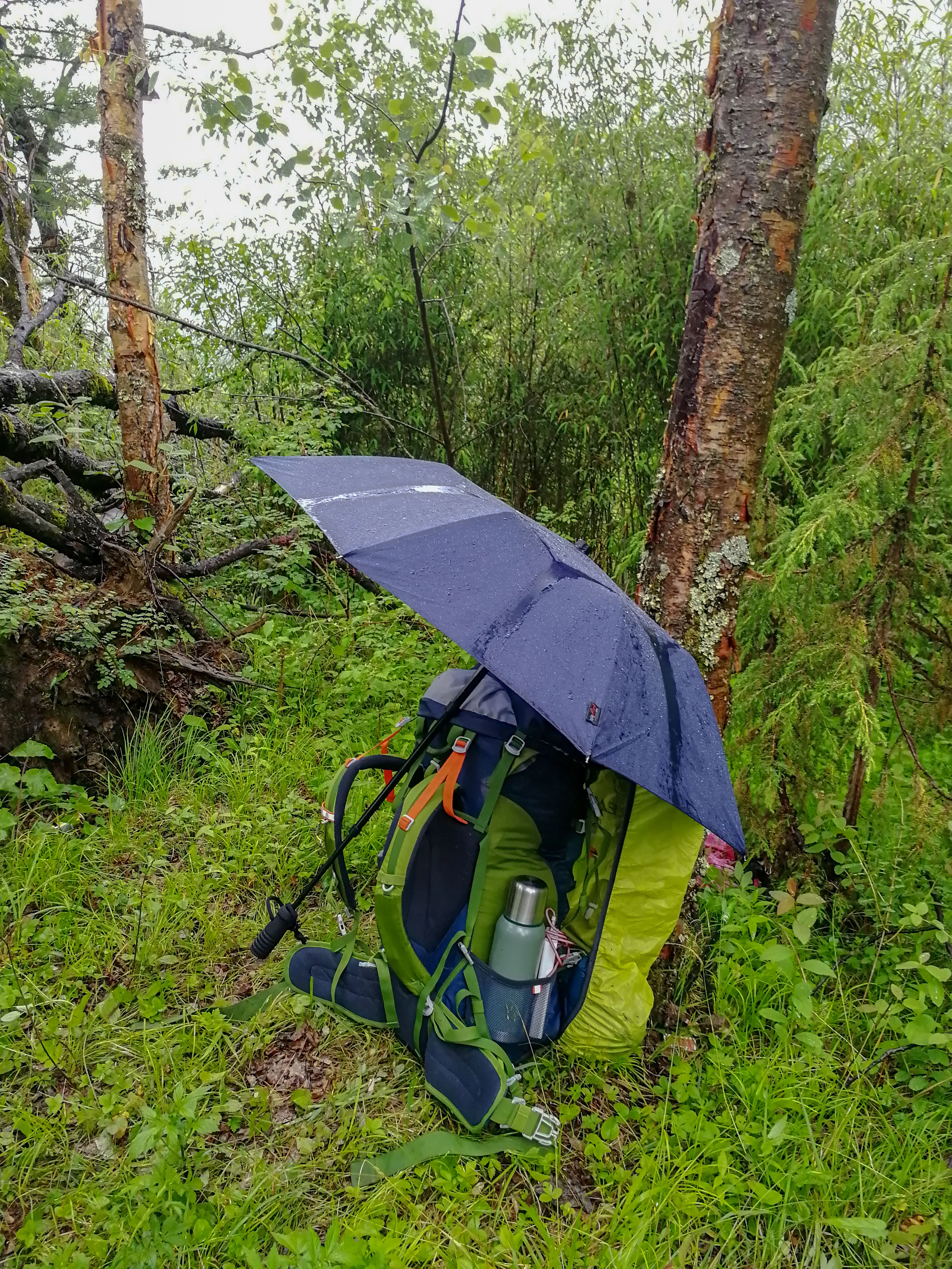 秦岭主峰太白山一日游,陕西秦岭太白山之旅