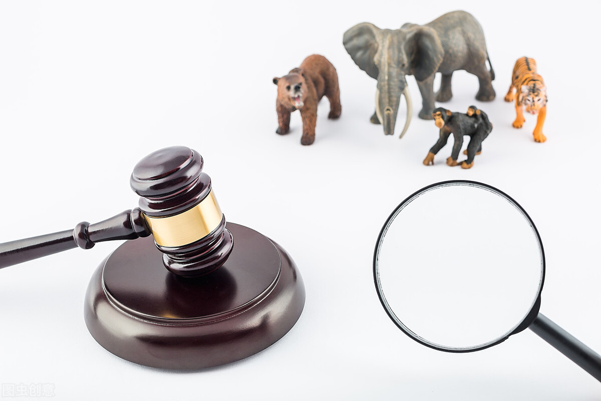 一个心理学绝招让别人无法拒绝你,高情商拒绝别人的心理学