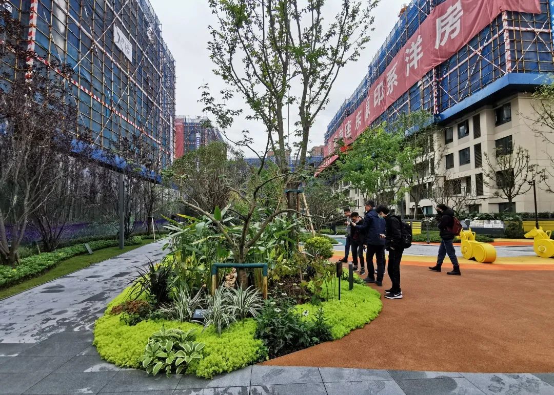 易境研学·重庆站|第一期