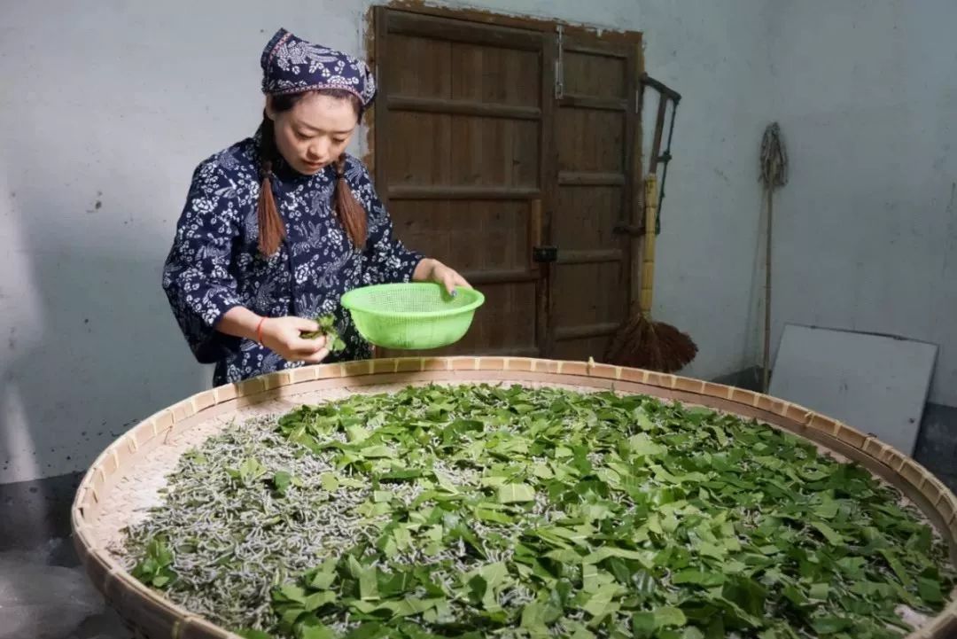 真正的蚕丝被100%桑蚕丝北极绒,推荐一款纯天然蚕丝被