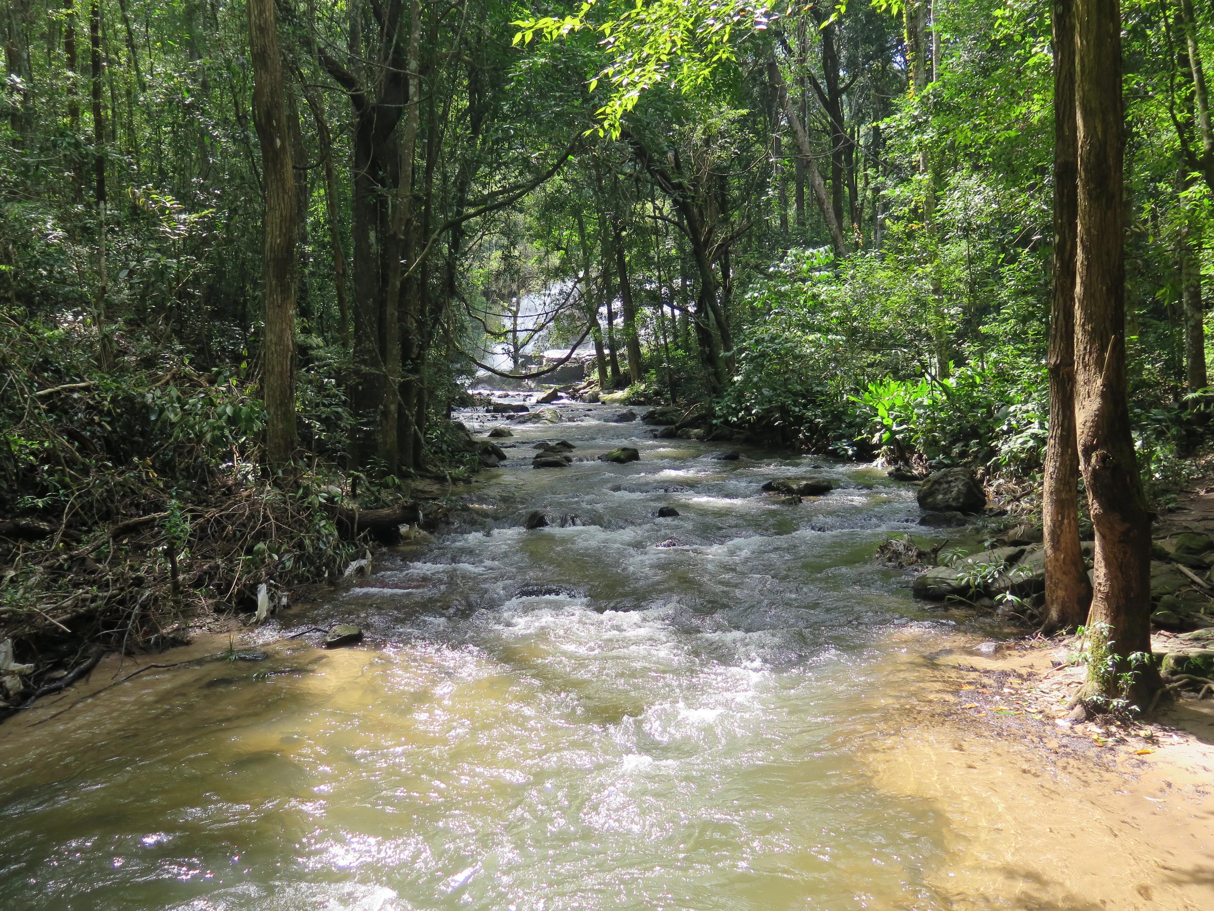 泰国旅游一定要吃什么,泰国旅游必须知道的几个景点