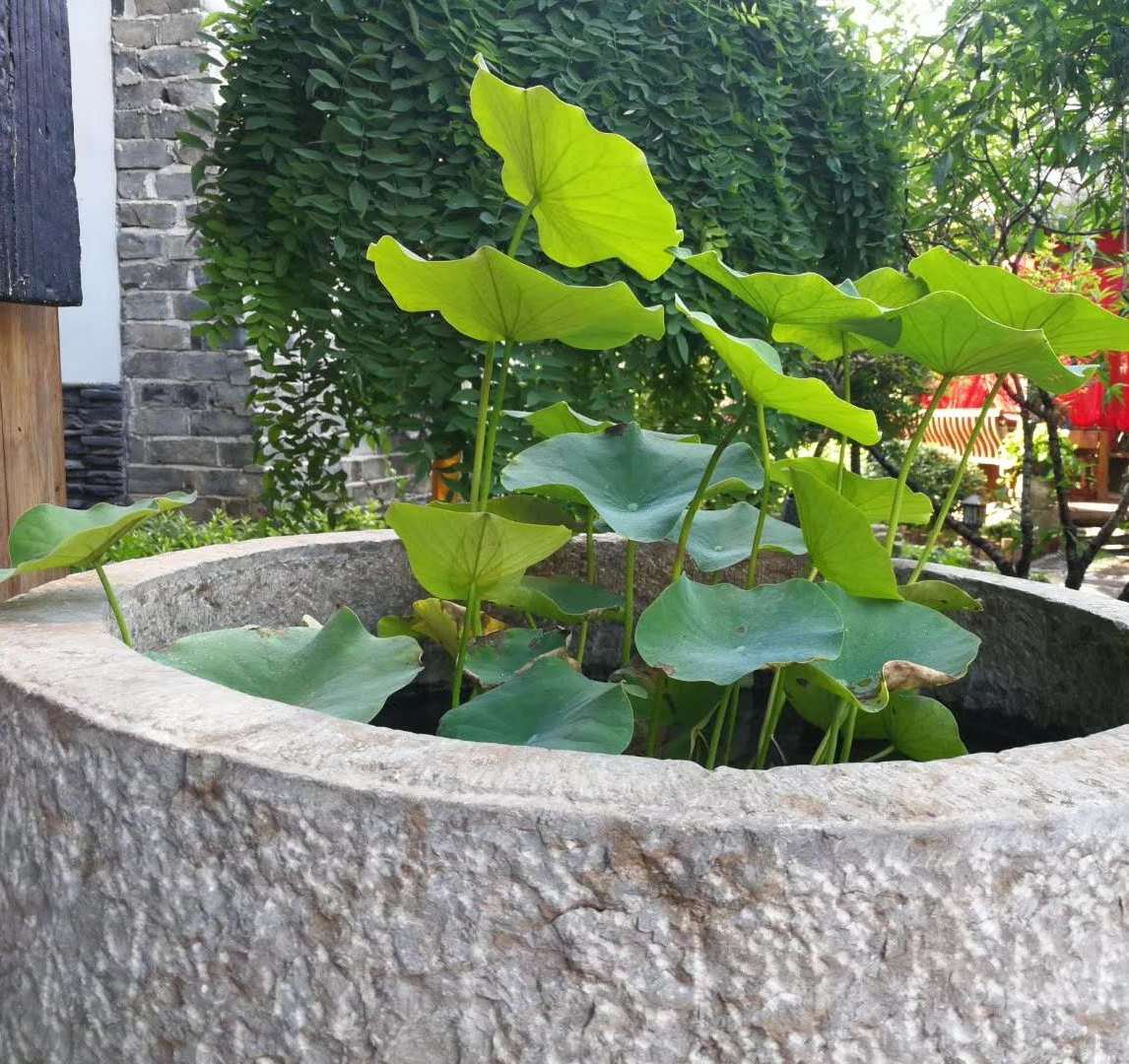 卖掉千万房子回老家,卖掉北京的房子2000万回老家