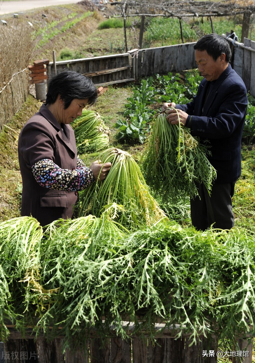 浙江最“硬”的地方,为什么是永康?
