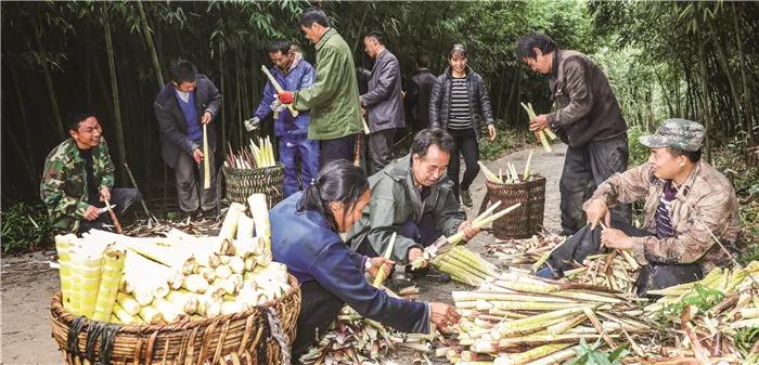 遵义市县区脱贫顺序,遵义的贫困县有哪些