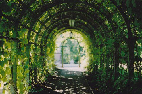 走到尽头和没有尽头是什么意思,有些路走到尽头无路可走