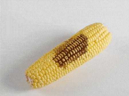 用冲牙器会把托槽冲掉吗,戴托槽牙套饭后只用冲牙器可以吗