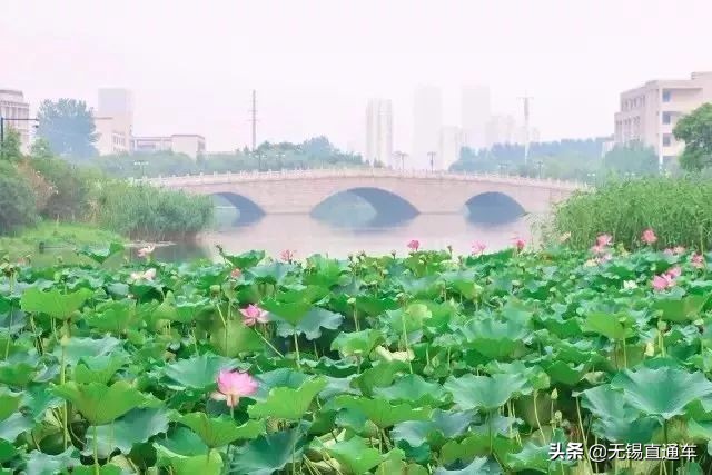 无锡夏天避暑的地方,无锡附近暑假避暑旅游好去处