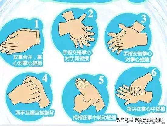 宠物口罩防病毒,疫情宠物口罩