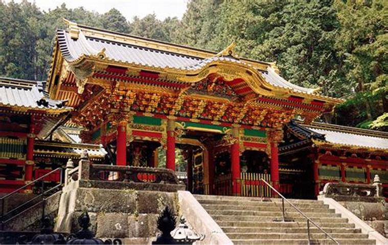 明日方舟种族考据,明日方舟考据党