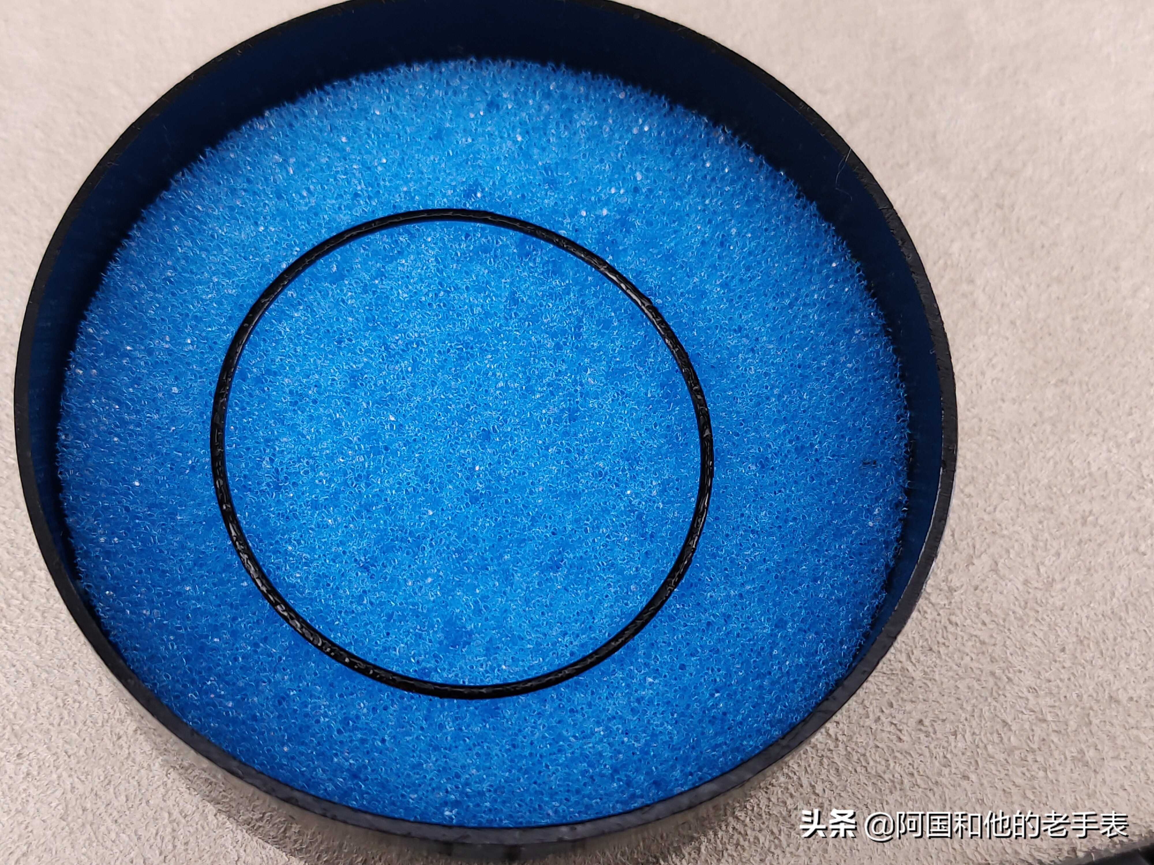 50年后的相见两只西铁城水鬼