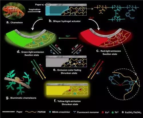 宁波材料所纳米机器人,宁波材料技术与工程研究所新闻