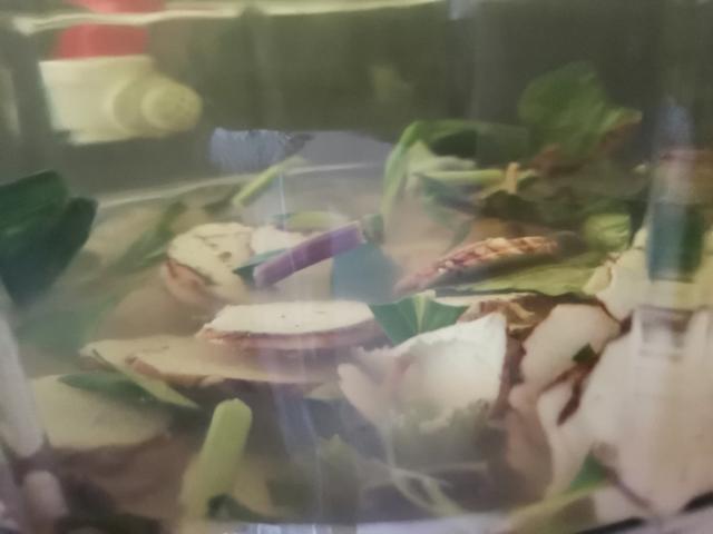 云南香格里拉的优质松茸,云南香格里拉德钦松茸