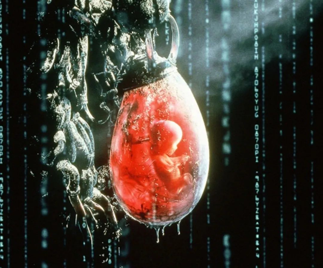 现在人造子宫成熟了吗,人造子宫是否会在2025年成功