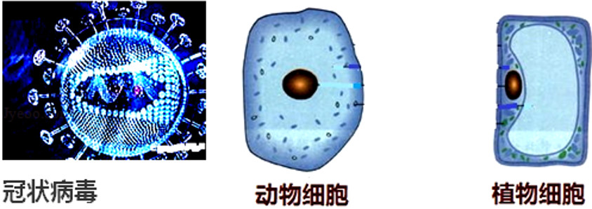 预防新型冠状病毒肺炎口诀操,冠状病毒肺炎防控口诀