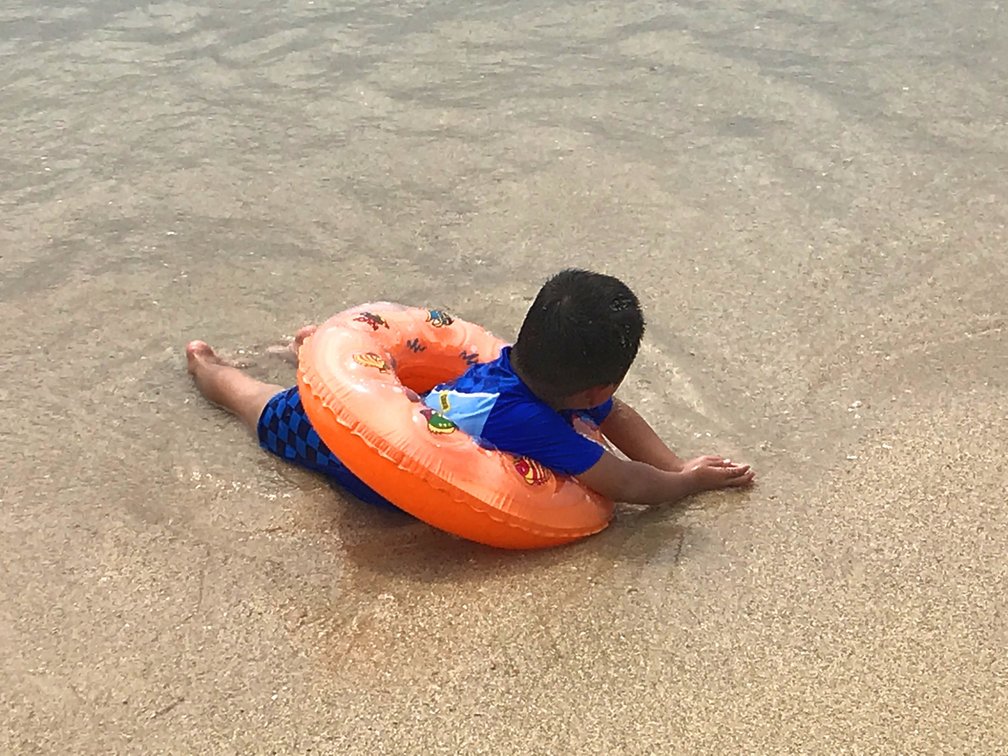 再次遇到鸡腿姑娘,偶遇鸡腿姑娘