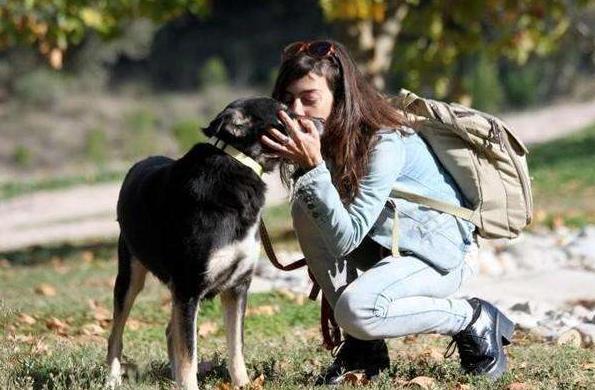 上班族怎么让狗狗晚上睡觉,狗狗上班族怎么安排