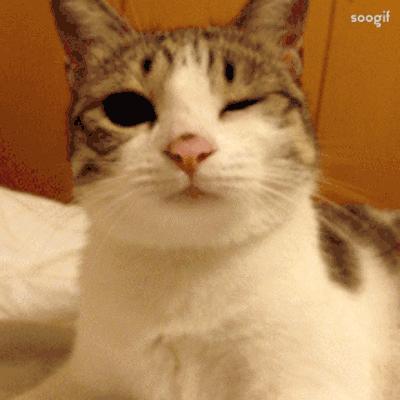 使用攻略|电信5Gplus会员们,注意啦