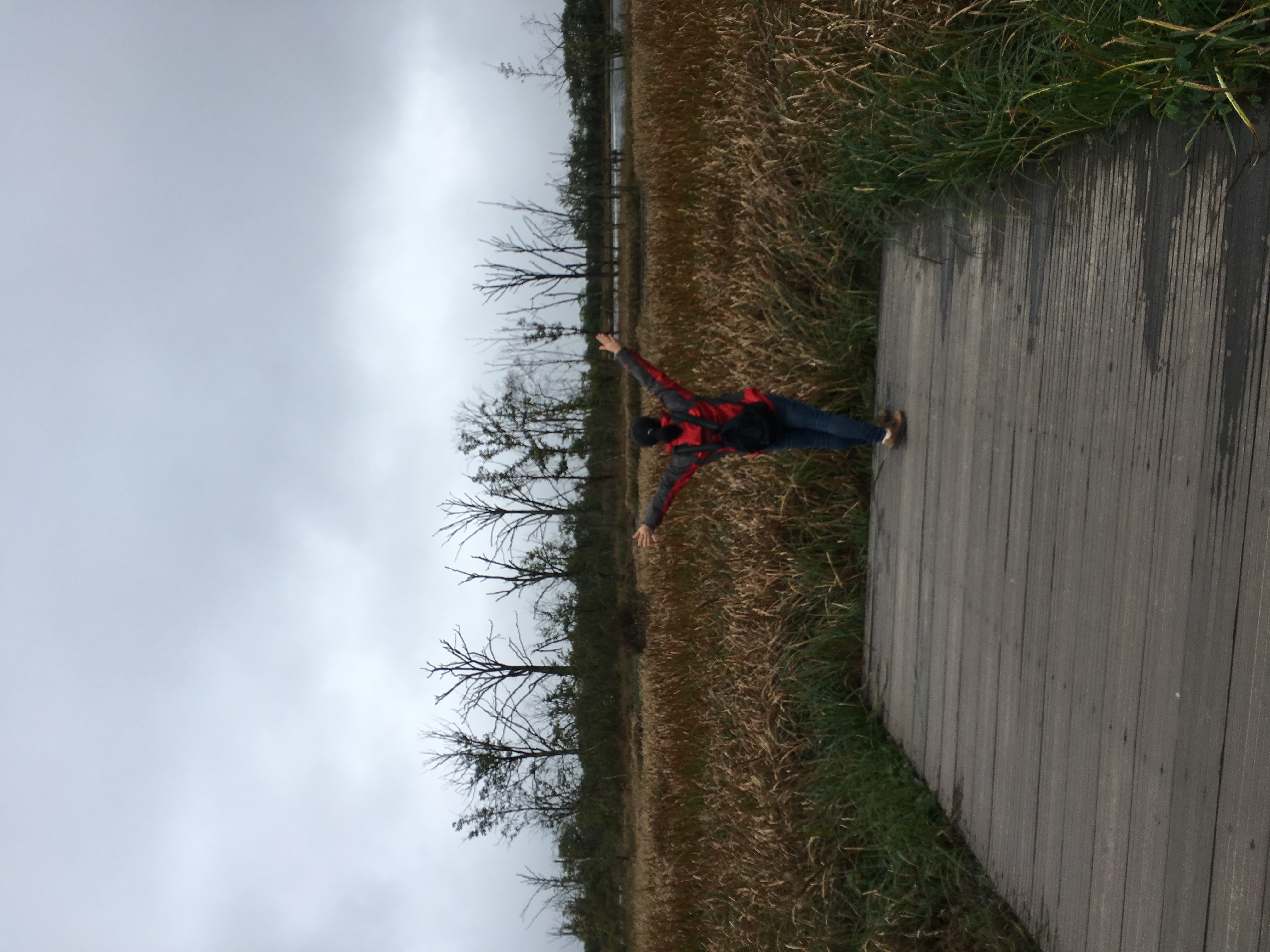 雨中神农架探秘之旅｜国庆节武汉至神农架自驾游攻略分享