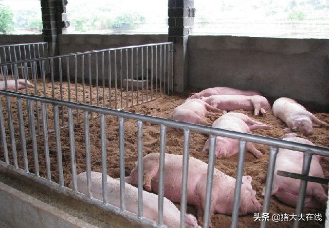 一例急性传胸的治疗心得,这样治简单省钱