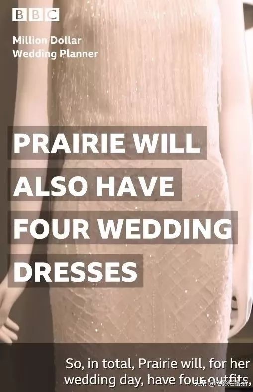 bbc纪录片终极秘密,英国bbc婚礼纪录片