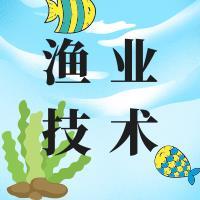 2019年广东渔业主推技术公布,速看详情!