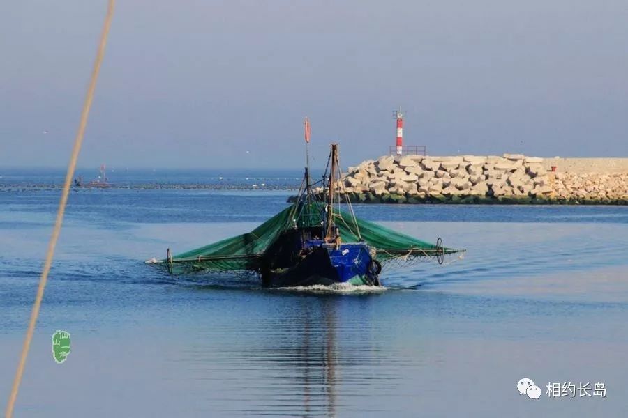闀垮矝缃戠孩娴烽矞,闀垮矝娴烽矞澶ч鍥剧墖