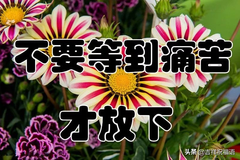 几句话送给未来的自己,几句话送给年轻的你们