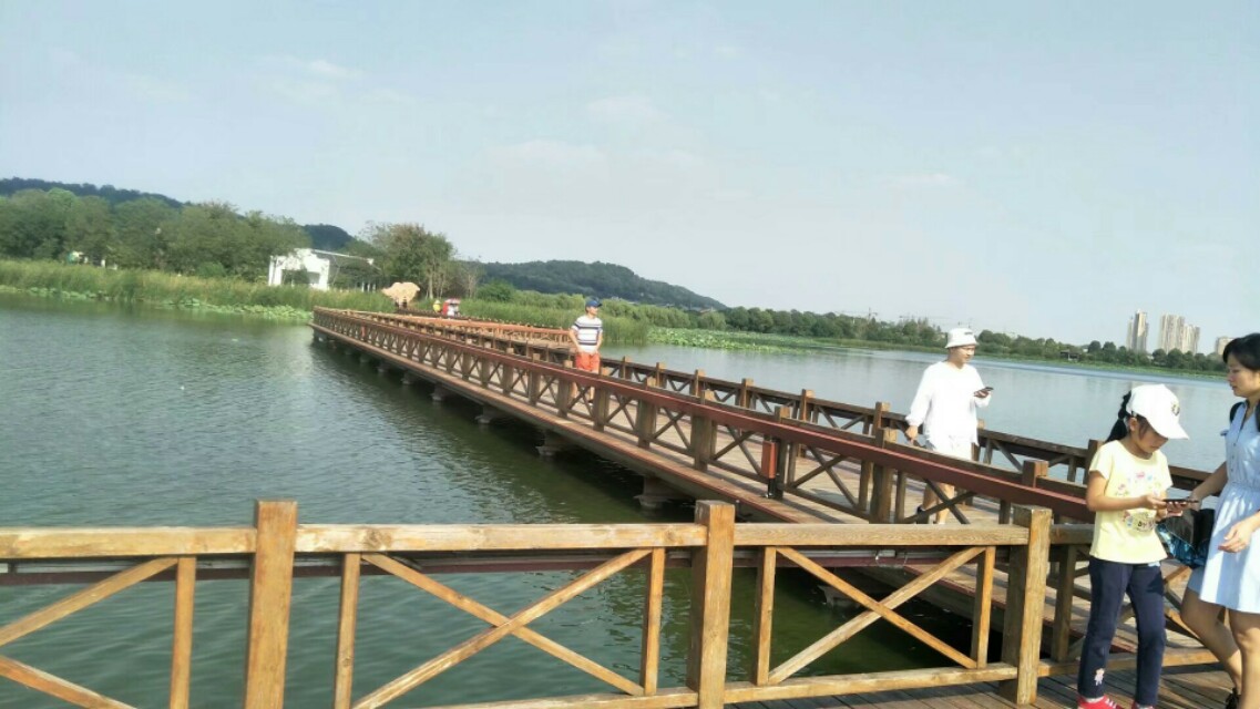 武汉后官湖湿地公园门票,武汉后官湖湿地公园线路图