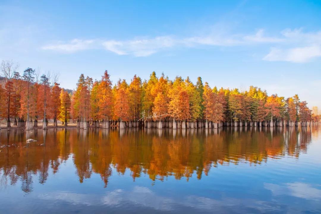 南京是属于哪个省的,南京是现在的哪个城市