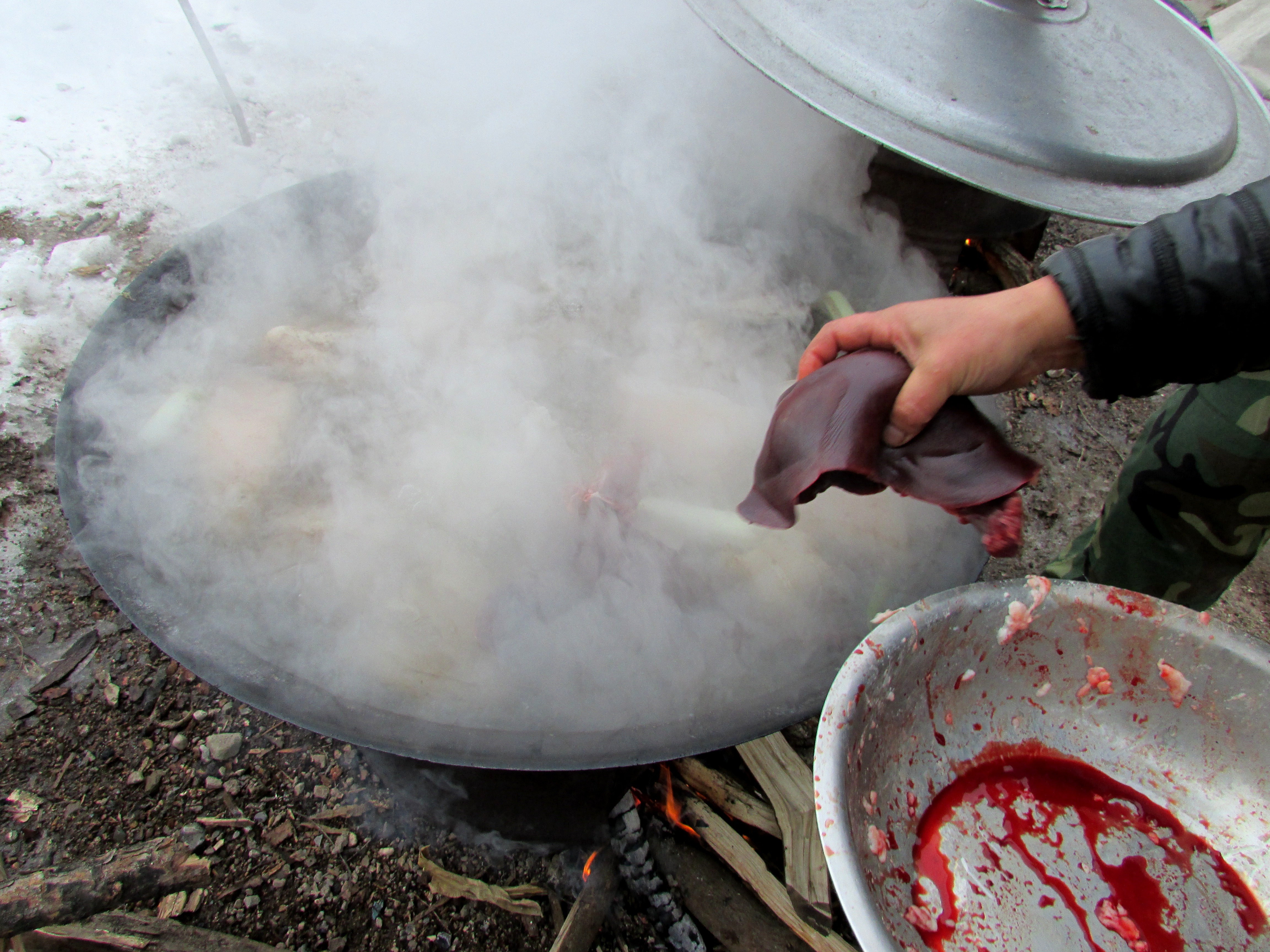 东北杀年猪来吃猪肉,老东北杀年猪