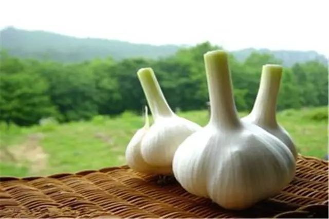 北鼎8系饮水机热水有异味怎么办,3秒热水饮水机如何使用没有异味