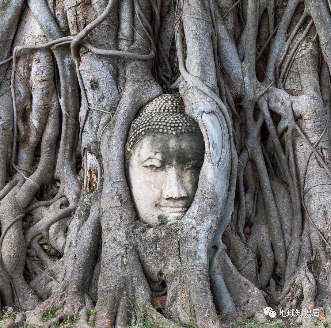 泰国300年未发生的战争,泰国和缅甸为什么打了300年的战争