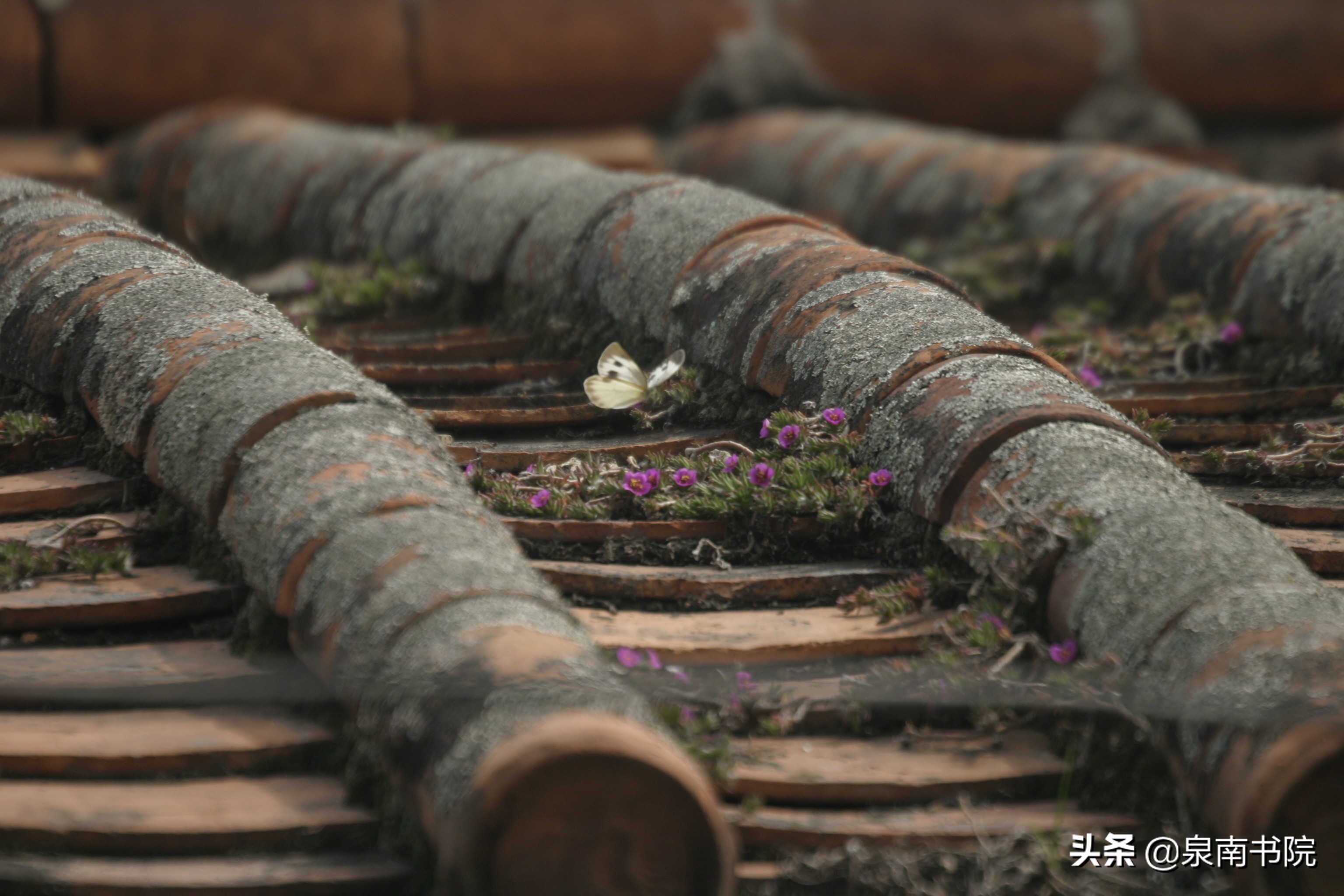 泉州古城廿四巷,泉州古城三朝巷