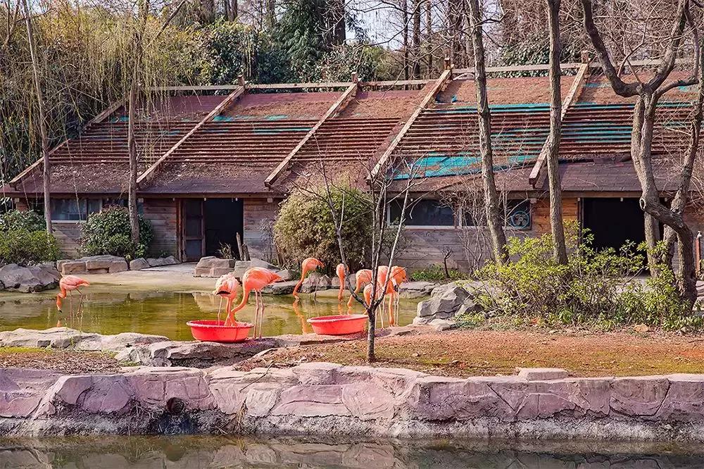 今年夏天在武汉必做的十件事,武汉新春过年坐地铁打卡攻略