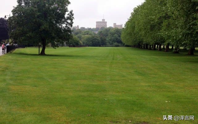 梅根的家不可侵犯:竟有人开着15辆车在梅根家附近扎营