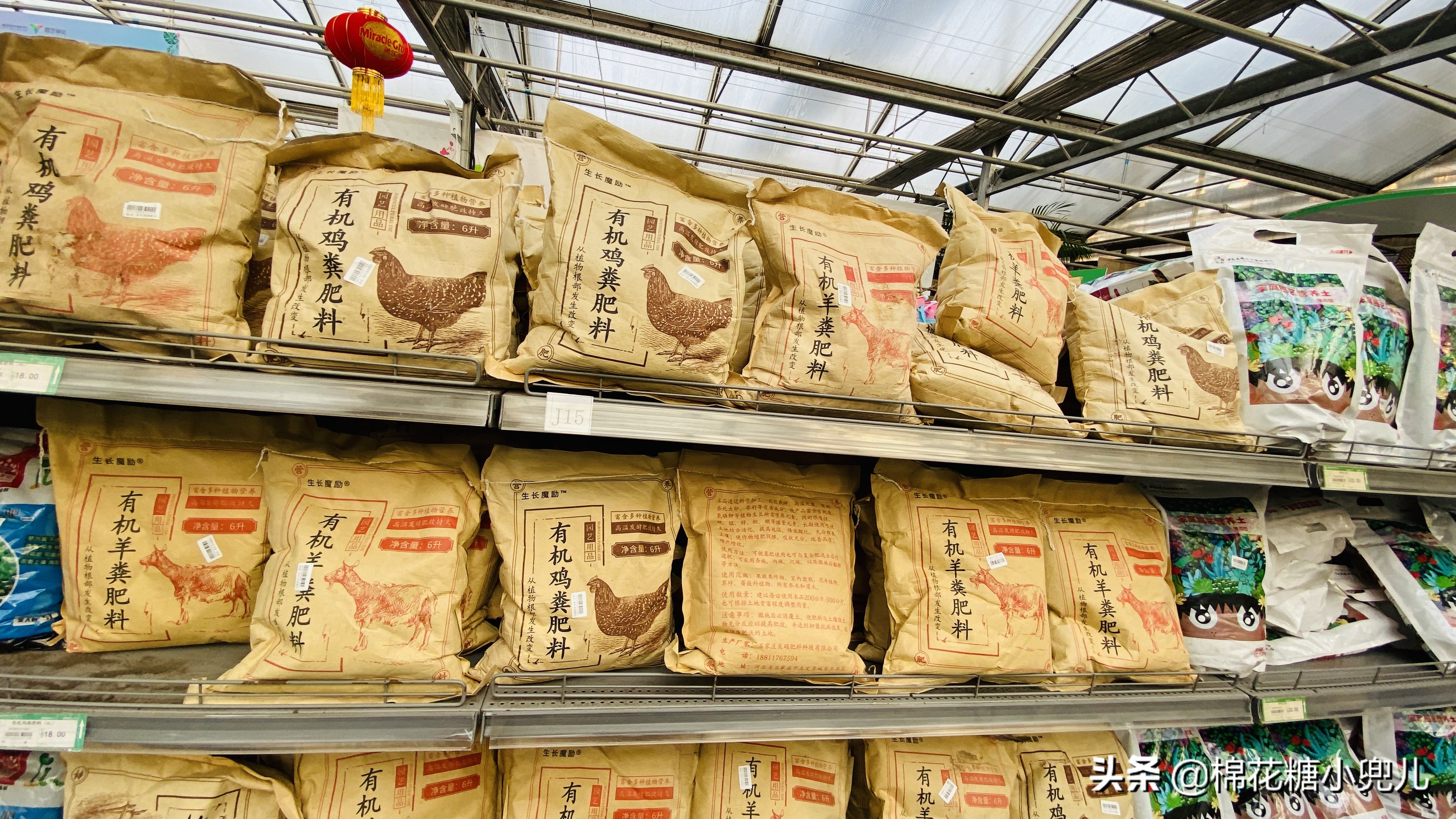 北京开了第一家绿植花卉大超市,北京最大花卉绿植市场