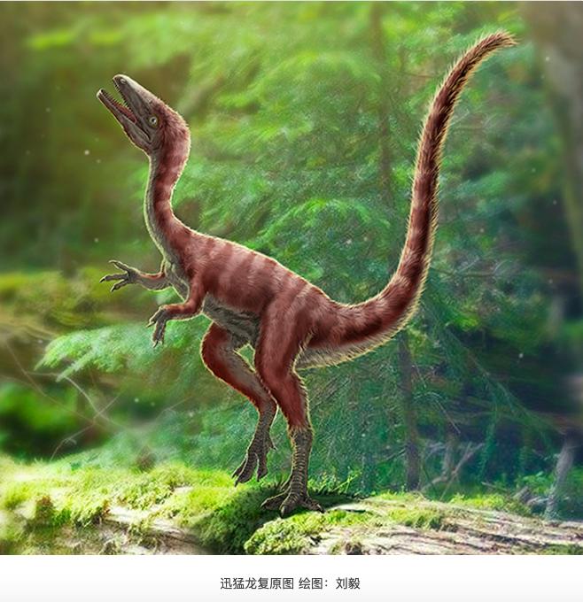 恐龙的特征和恐龙的外形特点,4-6厘米的六角恐龙长啥样