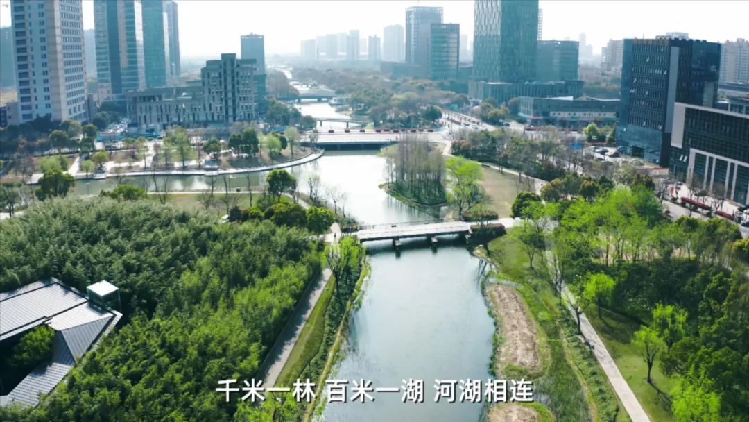 上海五大新城之嘉定,上海五大新城不包括金山吗