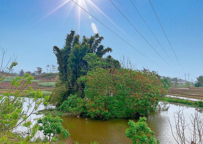 四川省南溪县城,四川南溪风景区