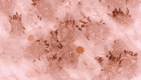 “啪啪”时，男生说过最过分的3个谎言，女生别再被骗了