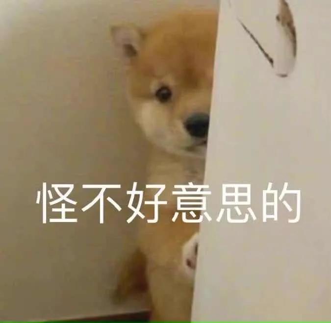 不一样的高考2020,不一样的高考