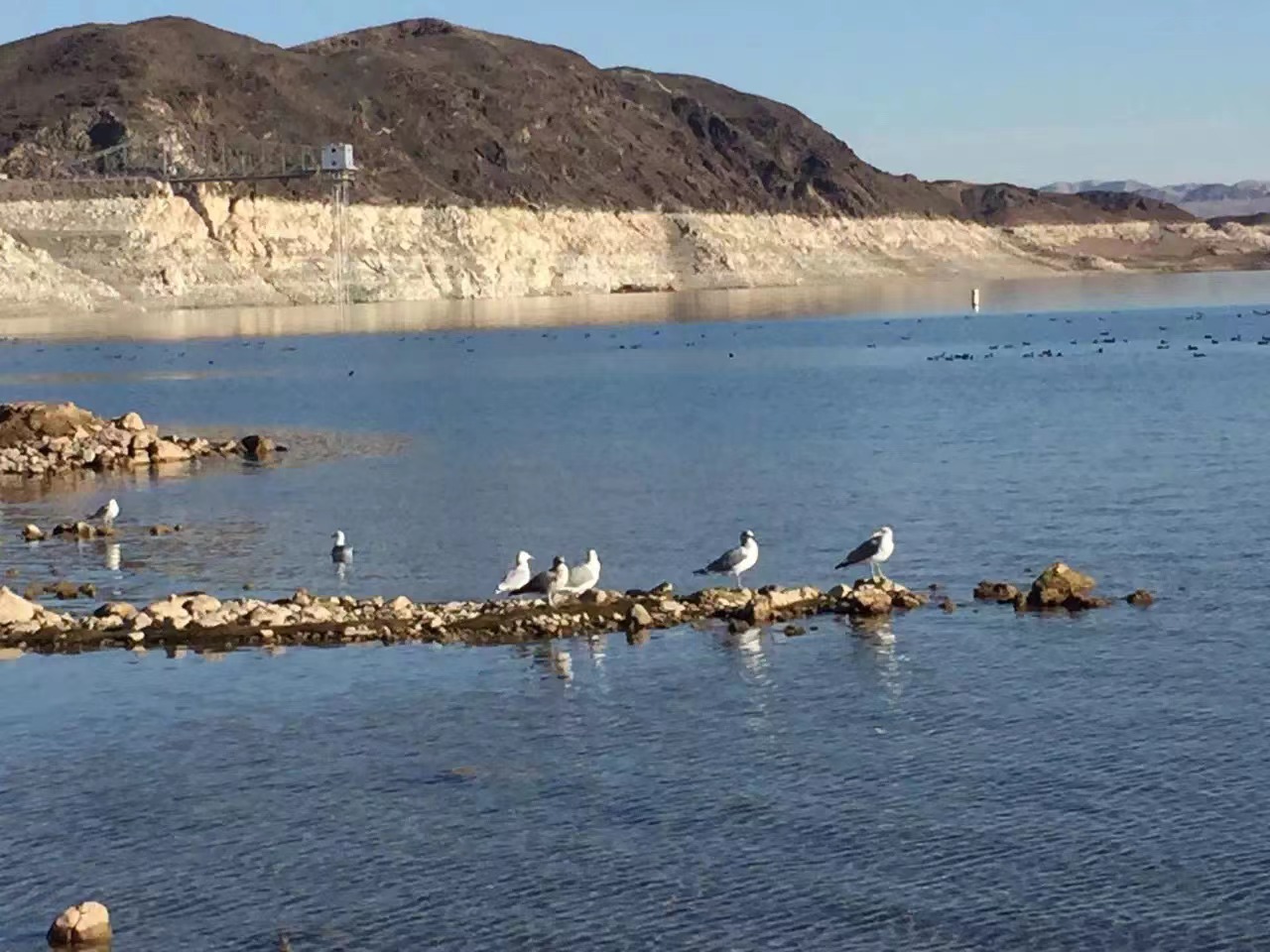 胡佛大坝历史照片,胡佛大坝科罗拉多