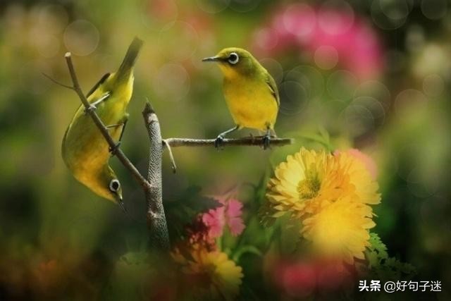 人生感悟英文短句子，句句入骨，看完你会明白很多！