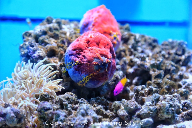 横店梦幻谷拍照景点,亲子游横店梦幻谷水世界