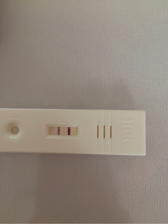 怎么预防犬瘟,怎么治疗犬瘟最有效